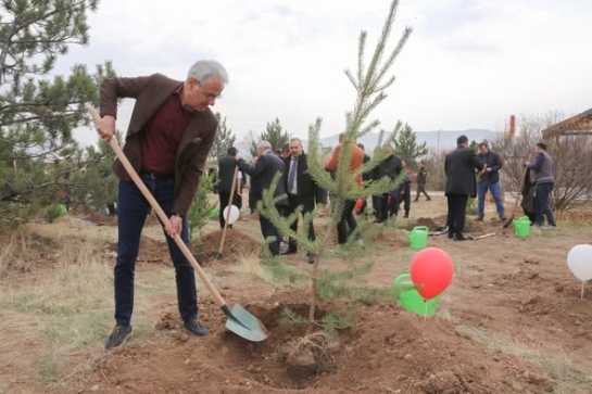Milli Ağaçlandırma Günü’nde Fidanlar Toprakla Buluştu 